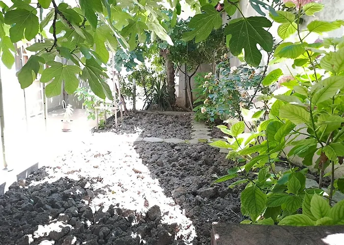 Summerbreath شقة *