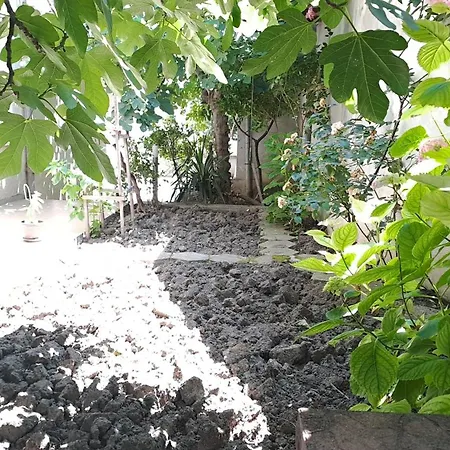 Summerbreath Appartement *